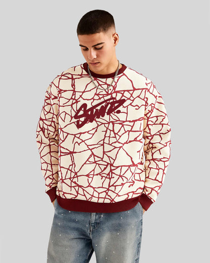 Printed Sweatshirt